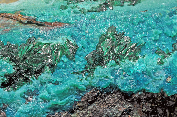 Botryoidal blue-green chrysocolla with deep green atacamite crystals